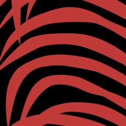 fronds palmvine autumn detail