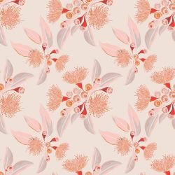 australian summer eucalyptus blossom sandy 