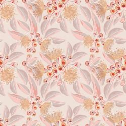 australian summer flowering eucalyptus sandy 