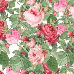 enchanted garden rosy blooming delights  