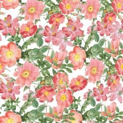 enchanted garden peach perfect peonies  