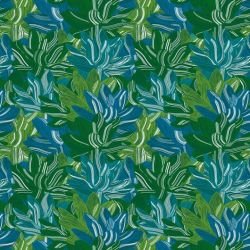 fronds lily frond mangrove 