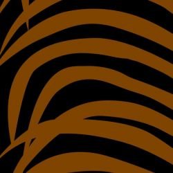 fronds palmvine dusk detail