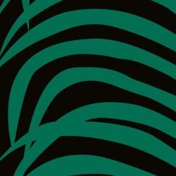 fronds palmvine lush detail