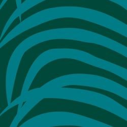 fronds palmvine mangrove detail