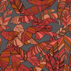 fronds striped palm autmun