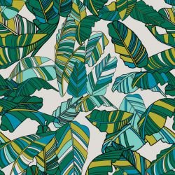 fronds striped palm lush