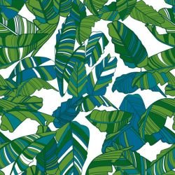 fronds striped palm mangrove