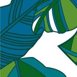 fronds striped palm mangrove detail