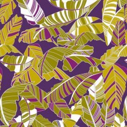 fronds striped palm royal