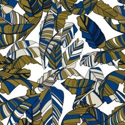 fronds striped palm shimmer