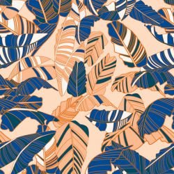 fronds striped palm winterlight