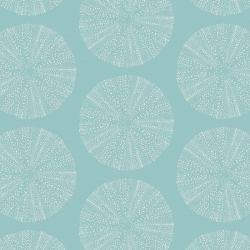 pacific urchin sea glass ground with sea foam