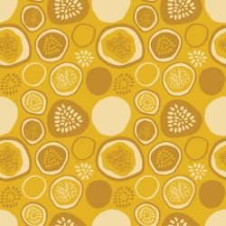 pattern pop passionfruit slice 