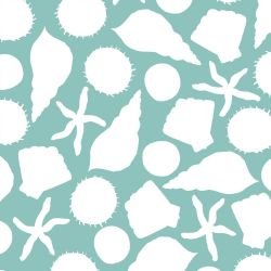 ocean life she shells sea shells fresh 