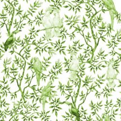 animal tropics perching parrots evergreen