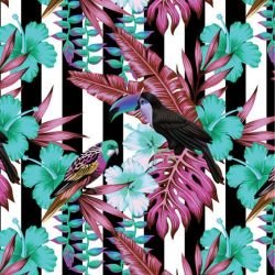 animalplanet toucan stripe vertical