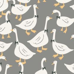 noahs ark dressed up ducks