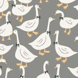 noahs ark dressed up ducks