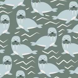 noahs ark pacific walrus