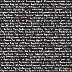 tram scrolls southside landmarks handwritten white