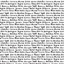 tram scrolls southside suburbs handwritten black