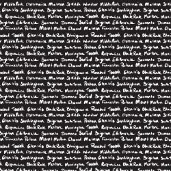 tram scrolls southside suburbs handwritten white font