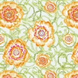 australian summer garden flower glow multi coloured