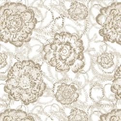 australian summer garden flower glow sepia 