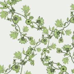 australian summer garden flower ranking green