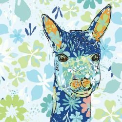 darwinian alpaca citrus