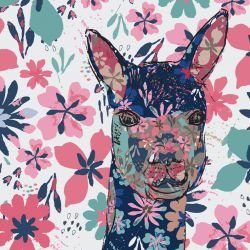 darwinian alpaca gumflower