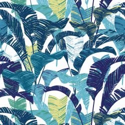 darwinian secluded evolve