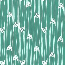 darwinian six seasons evolve