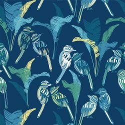 darwinian tropical love evolve