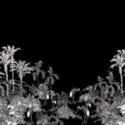 jungle vista jungle canes tar reverse 