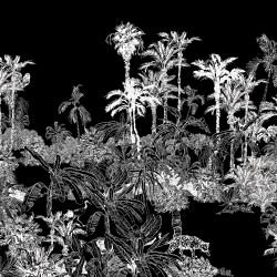 jungle vista palm panorama tar reverse 