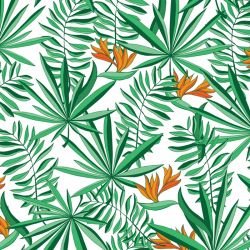 tropical strelitzia white