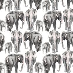 jungle story elephant white