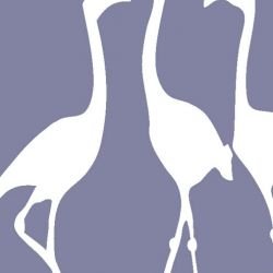 nouveaucollective flamingo lavender