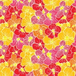 antheia corolla field summer