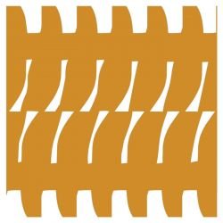 collected1 lima butternut 