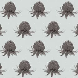 days splendour waratah grey