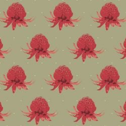 days splendour waratah red