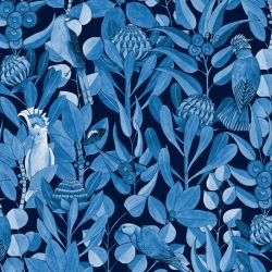 native waltz   native waltzmural bluenightsky 