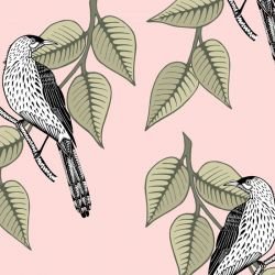 native waltz wattlebird babypink 