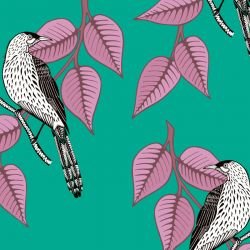 native waltz wattlebird blushlake 