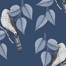 native waltz wattlebird paynesgrey 