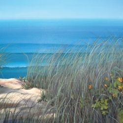 a coastal life worth the walk