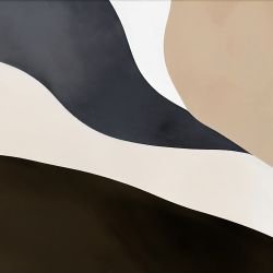 abstract dimensions shift neutrals